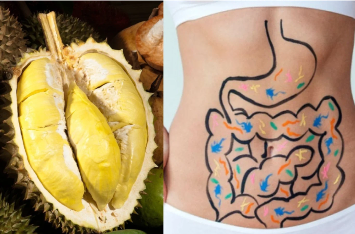 Ăn sầu riêng có tốt không? 10 lợi ích tuyệt vời của sầu riêng Ăn sầu riêng có tốt không