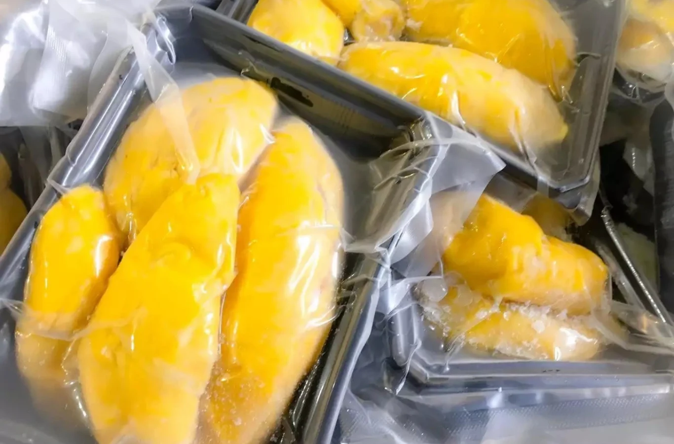 Sầu riêng đông lạnh bảo quản được bao lâu